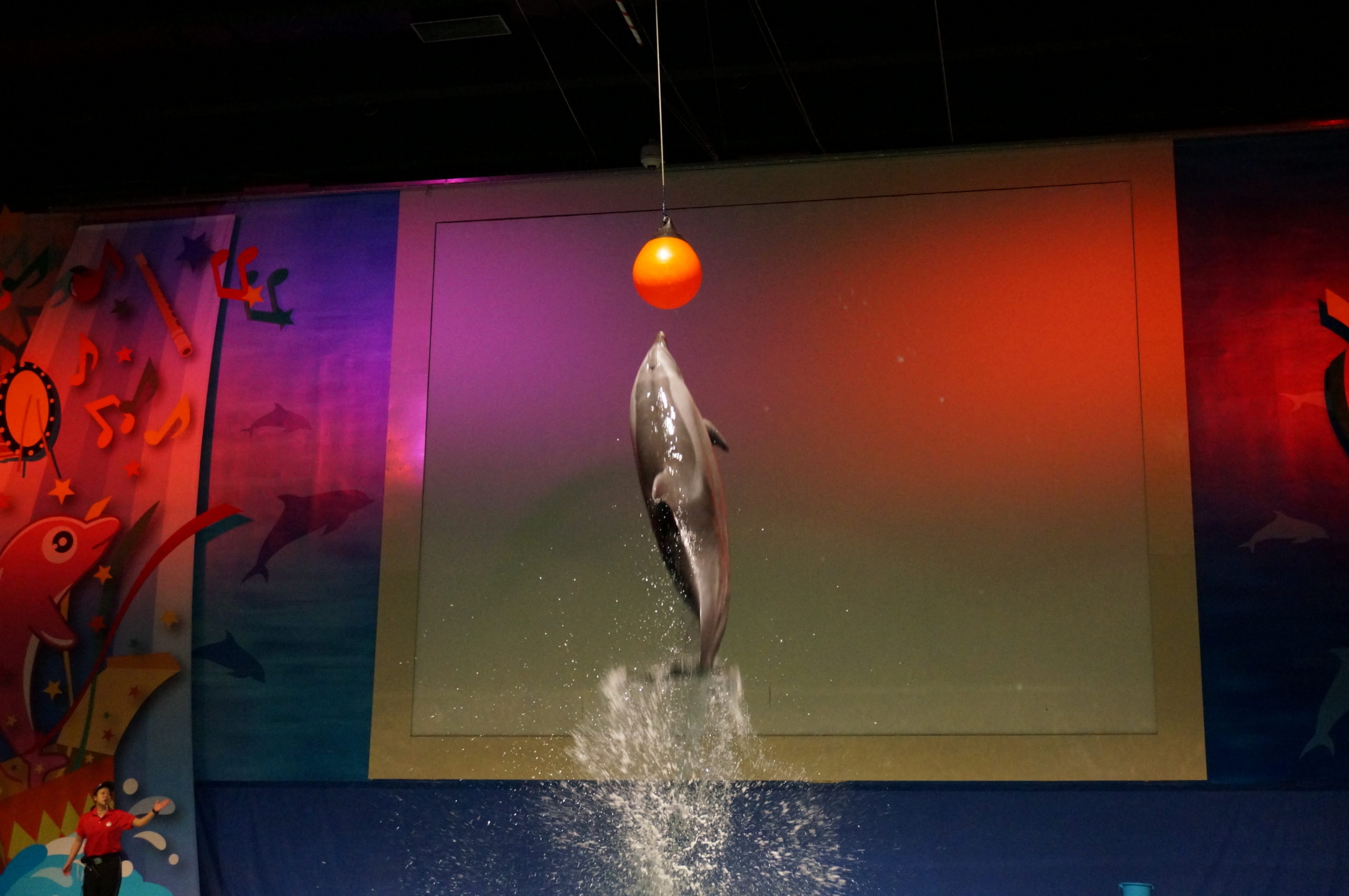 浅虫水族館 イルカショーもあるよ 旅人になりたい